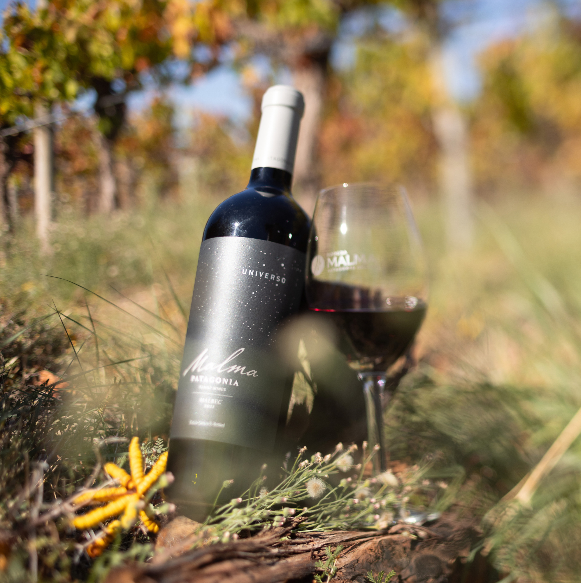 Malma Universo Malbec - Tintos 750 ml