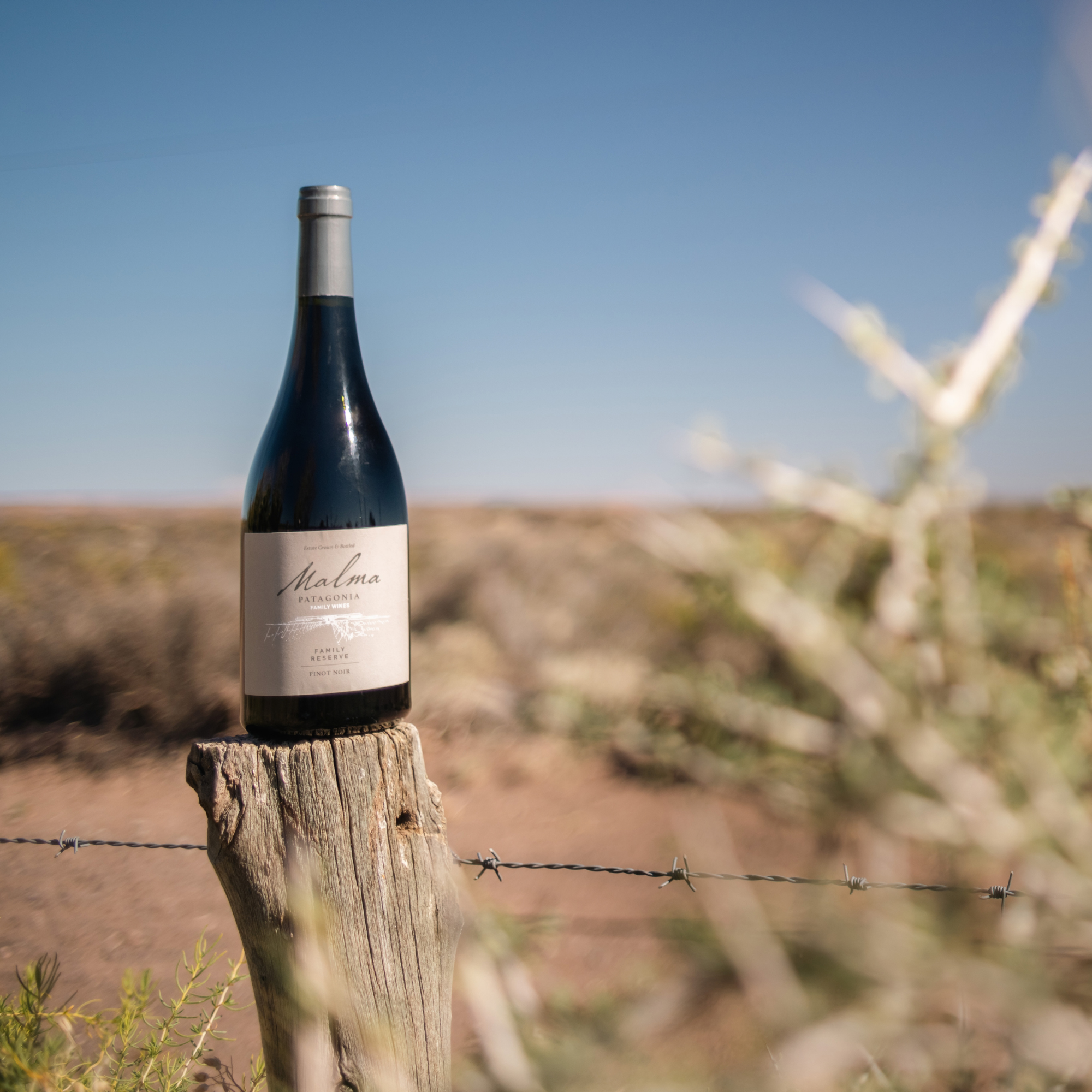 Reserva de Familia Pinot Noir - Tintos 750 ml