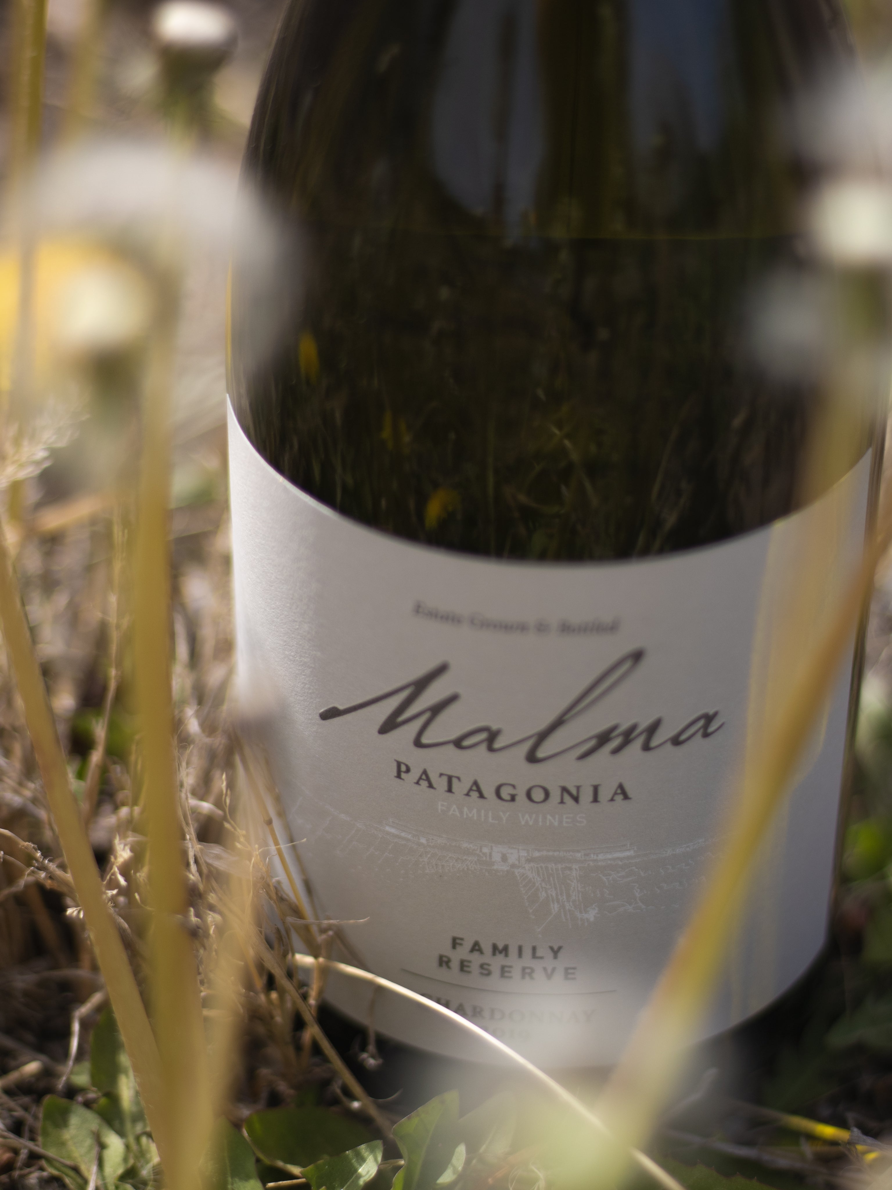Reserva de Familia Chardonnay - Blancos 750 ml