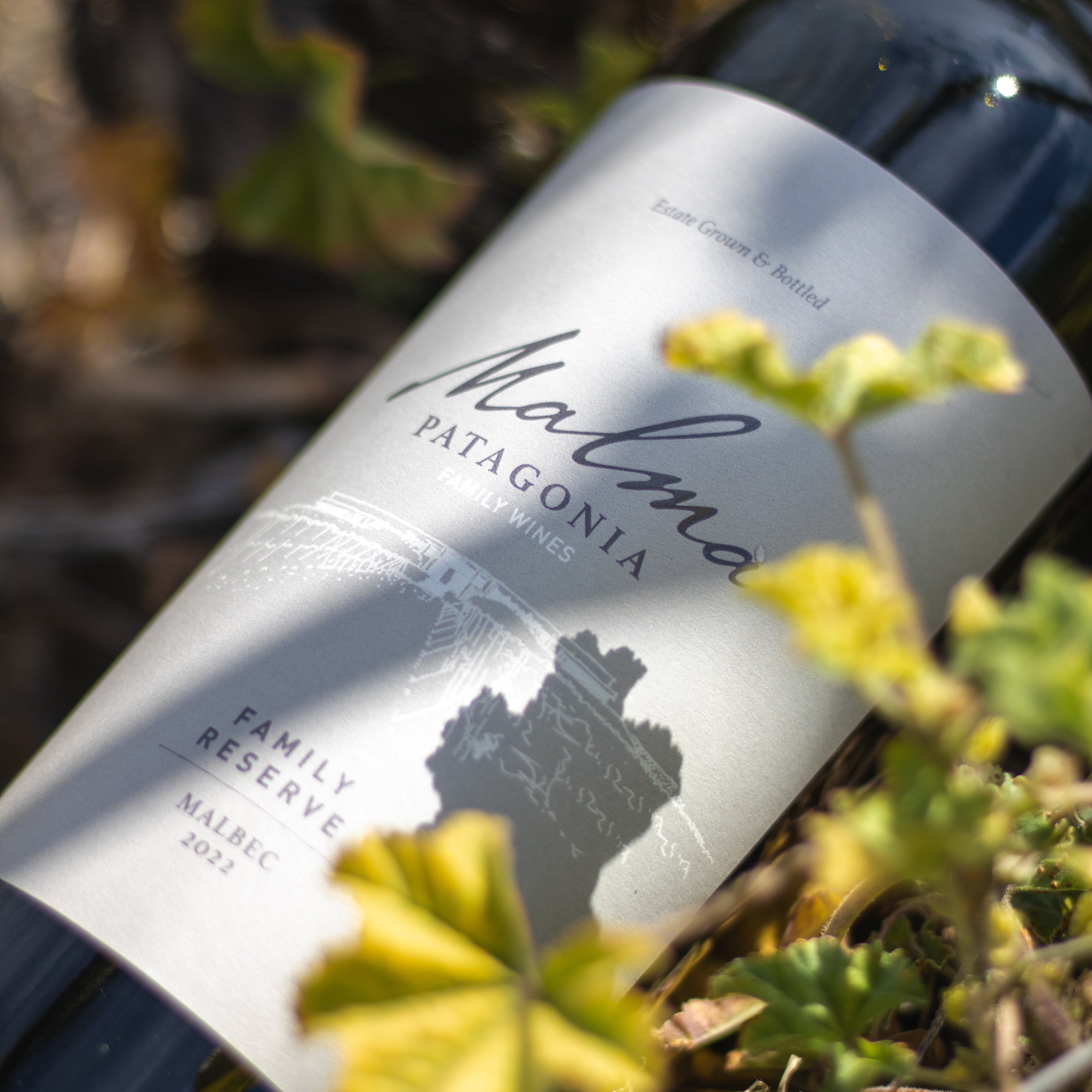 Reserva de Familia Malbec - Tintos 750 ml