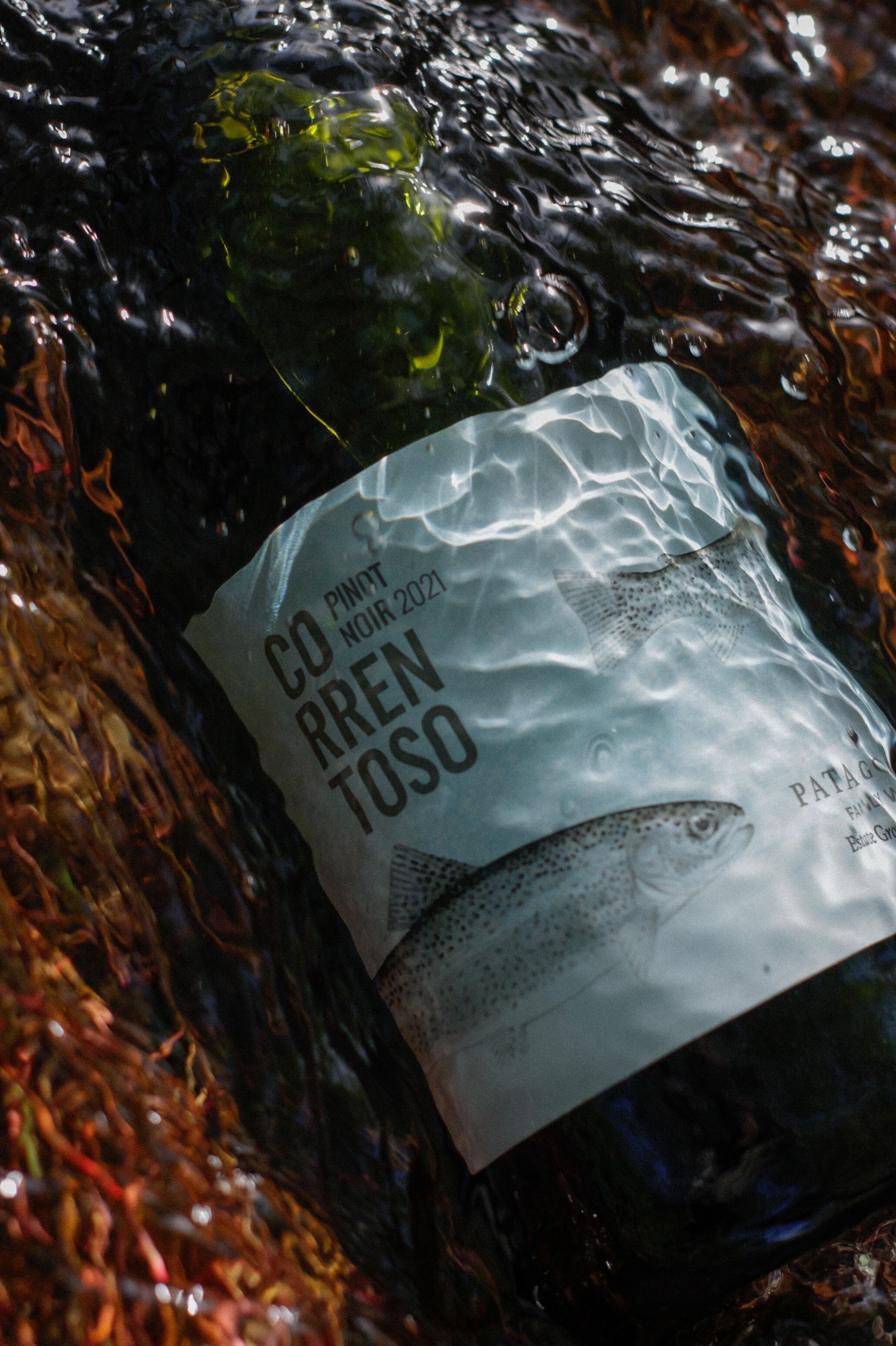 Correntoso Estate Pinot Noir - Tintos 750ml