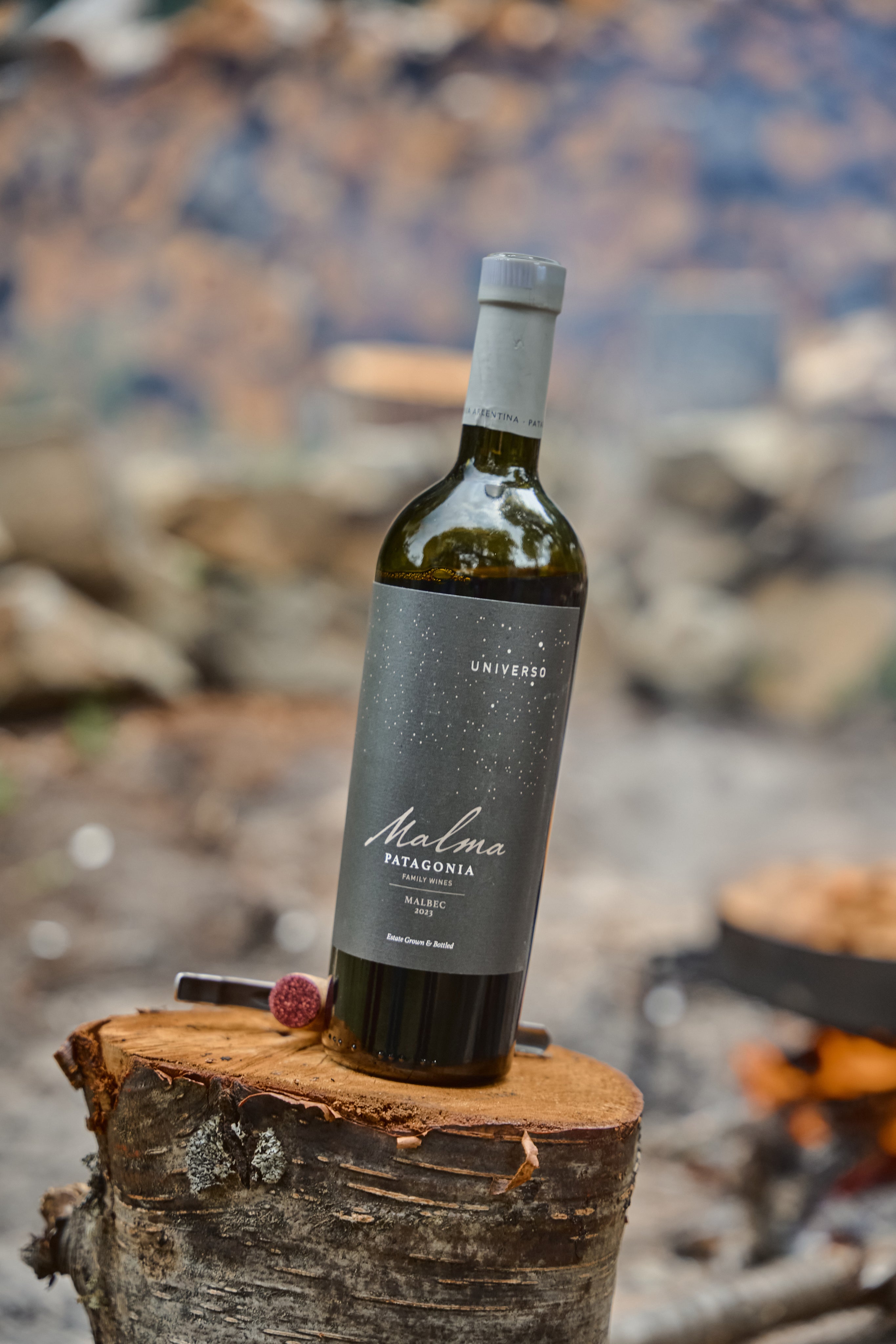 Malma Universo Malbec - Tintos 750 ml