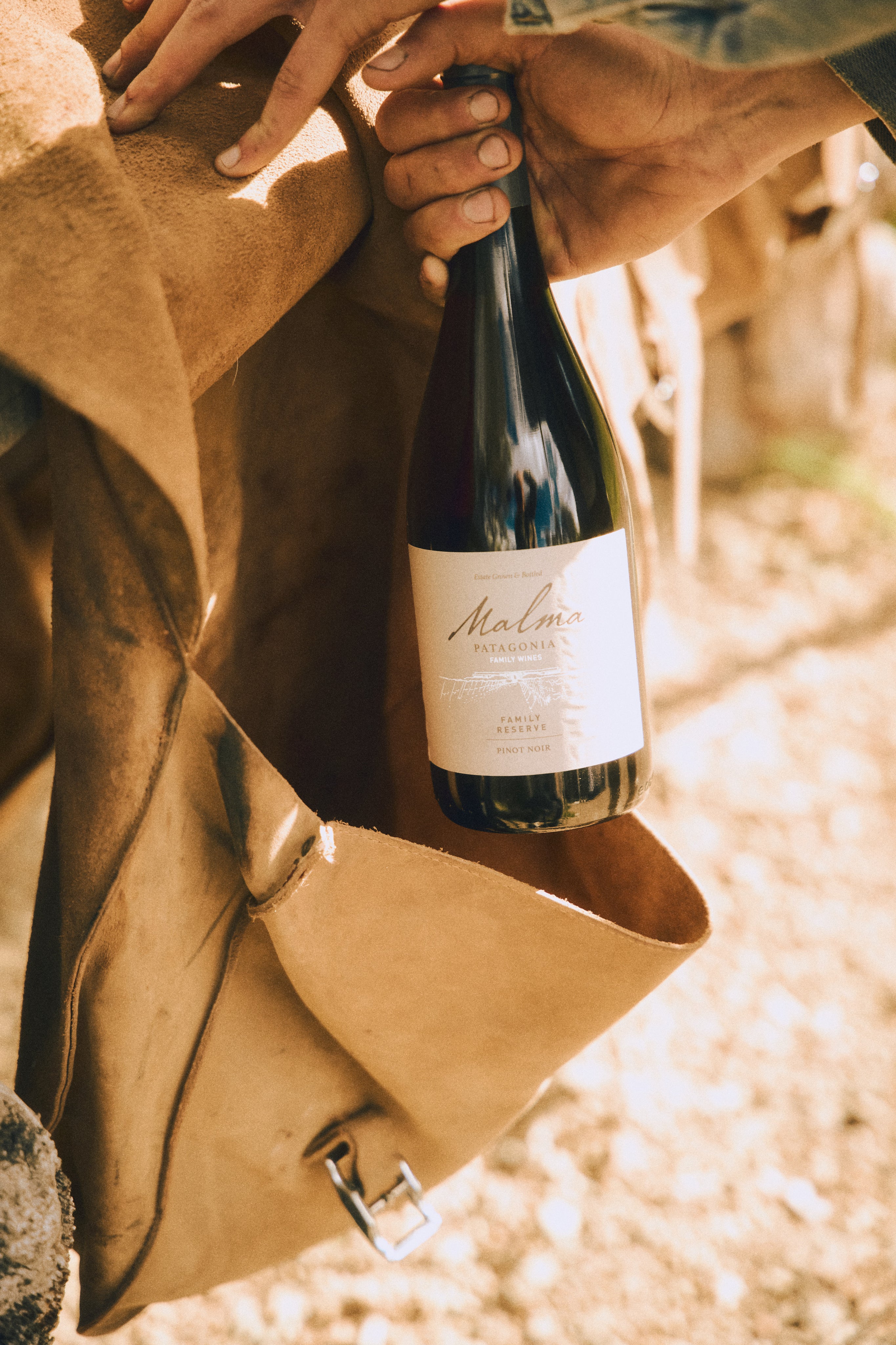 Reserva de Familia Pinot Noir - Tintos 750 ml