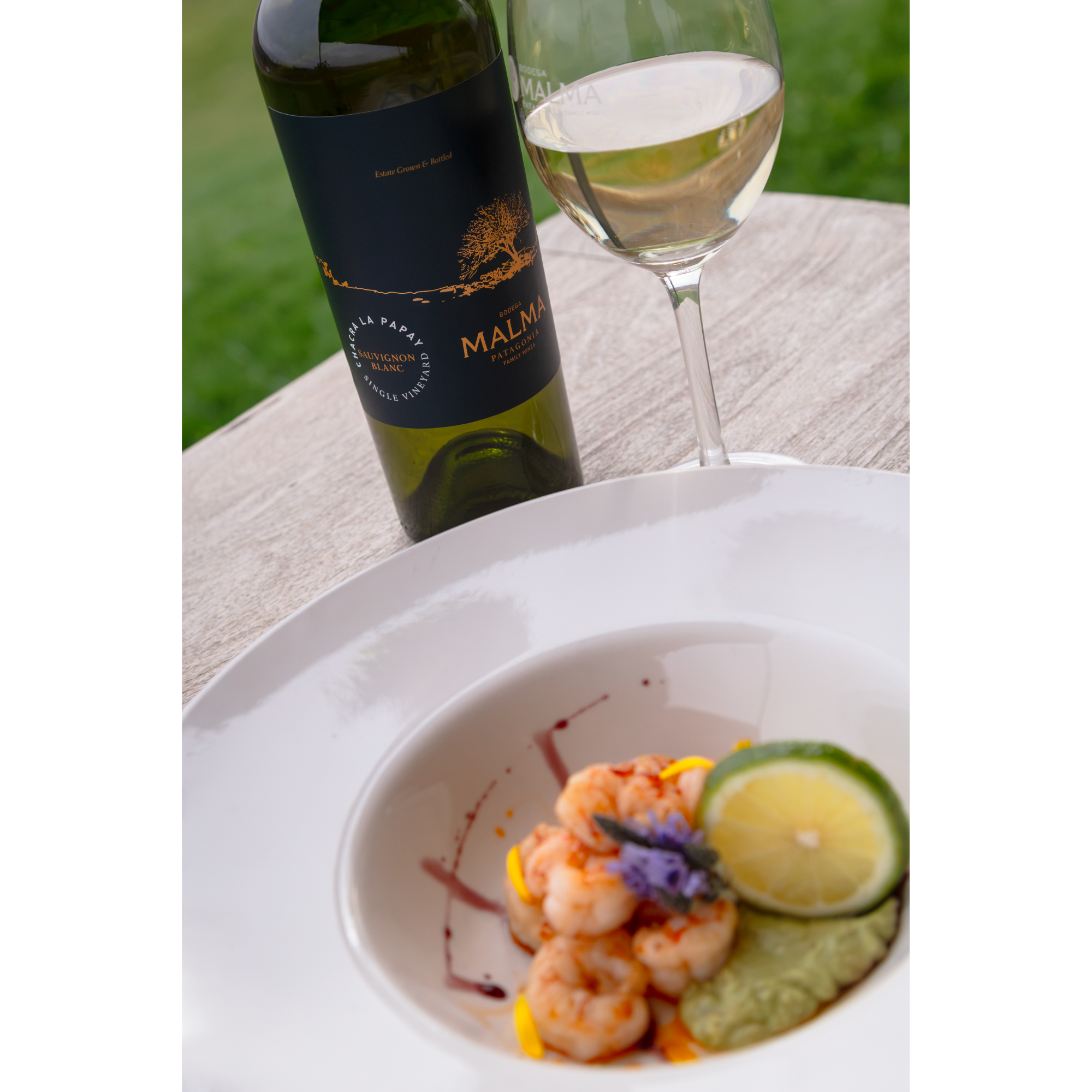 Chacra La Papay Single Vineyard Sauvignon Blanc - Blancos 750 ml x6