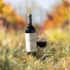 Cargar imagen en el visor de la galería, Reserva de Familia Merlot - Tintos 750 ml
