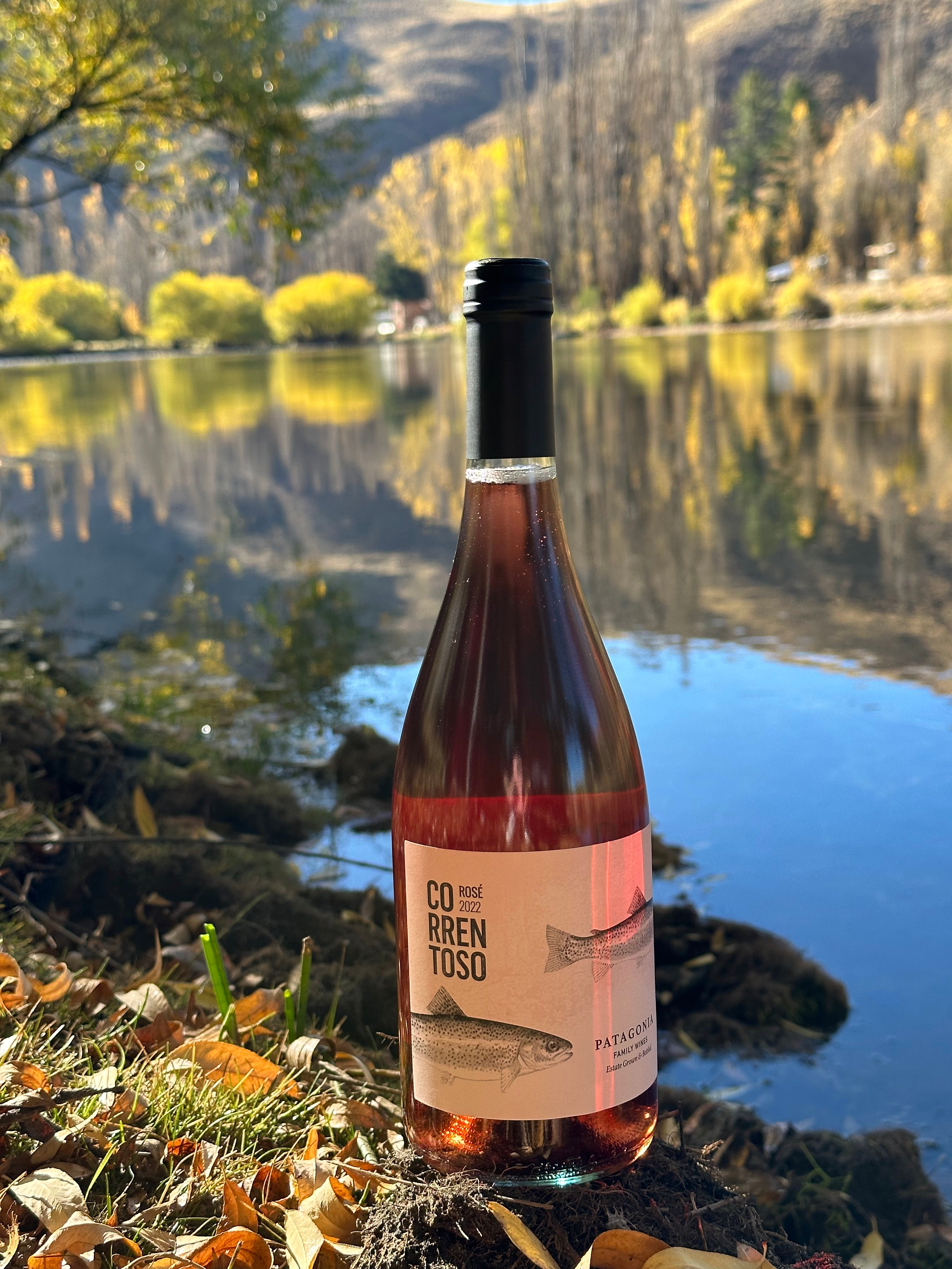 Correntoso Estate Rosé - Rosados 720 ml