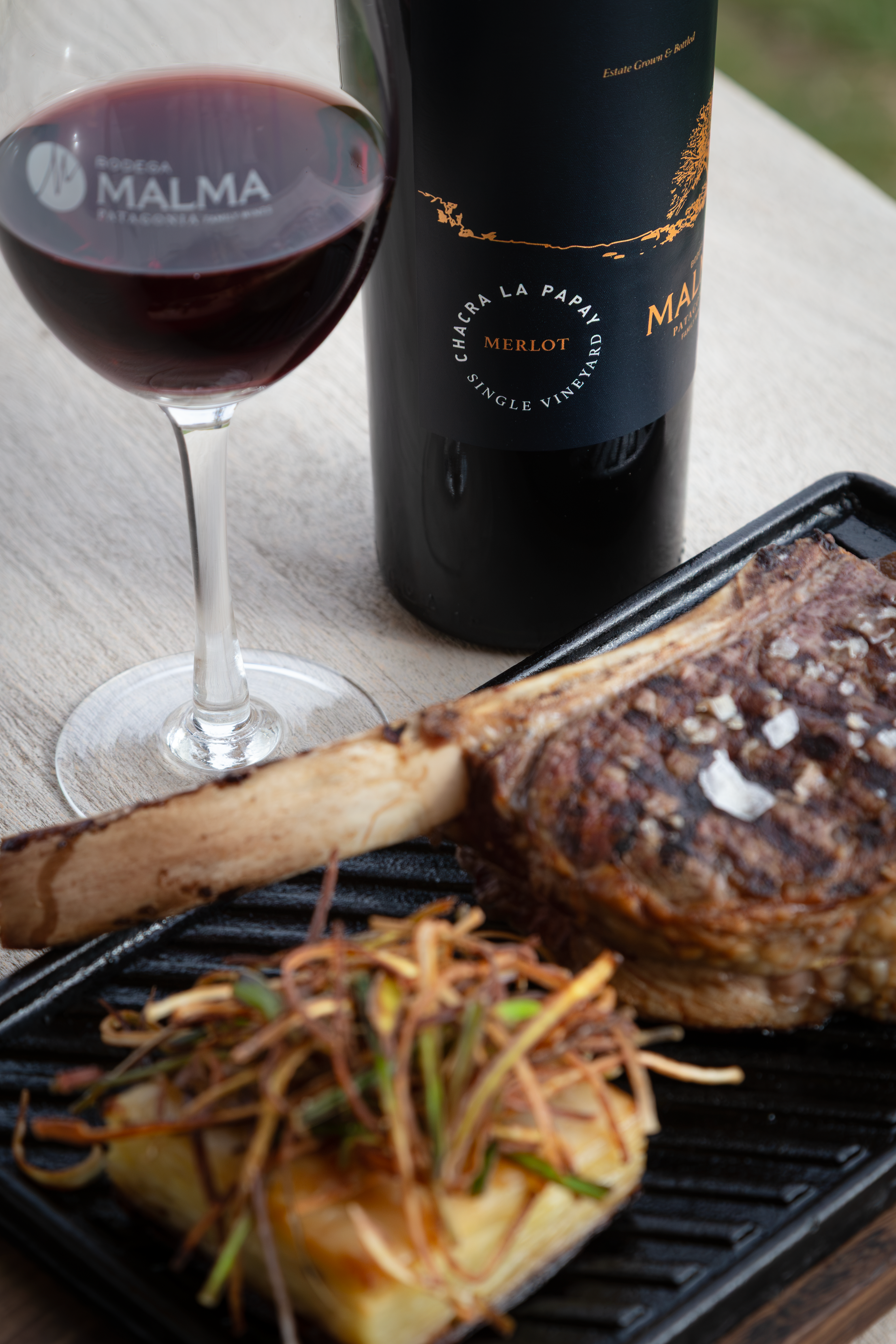 Chacra La Papay Single Vineyard Merlot - Tintos 750 ml x6