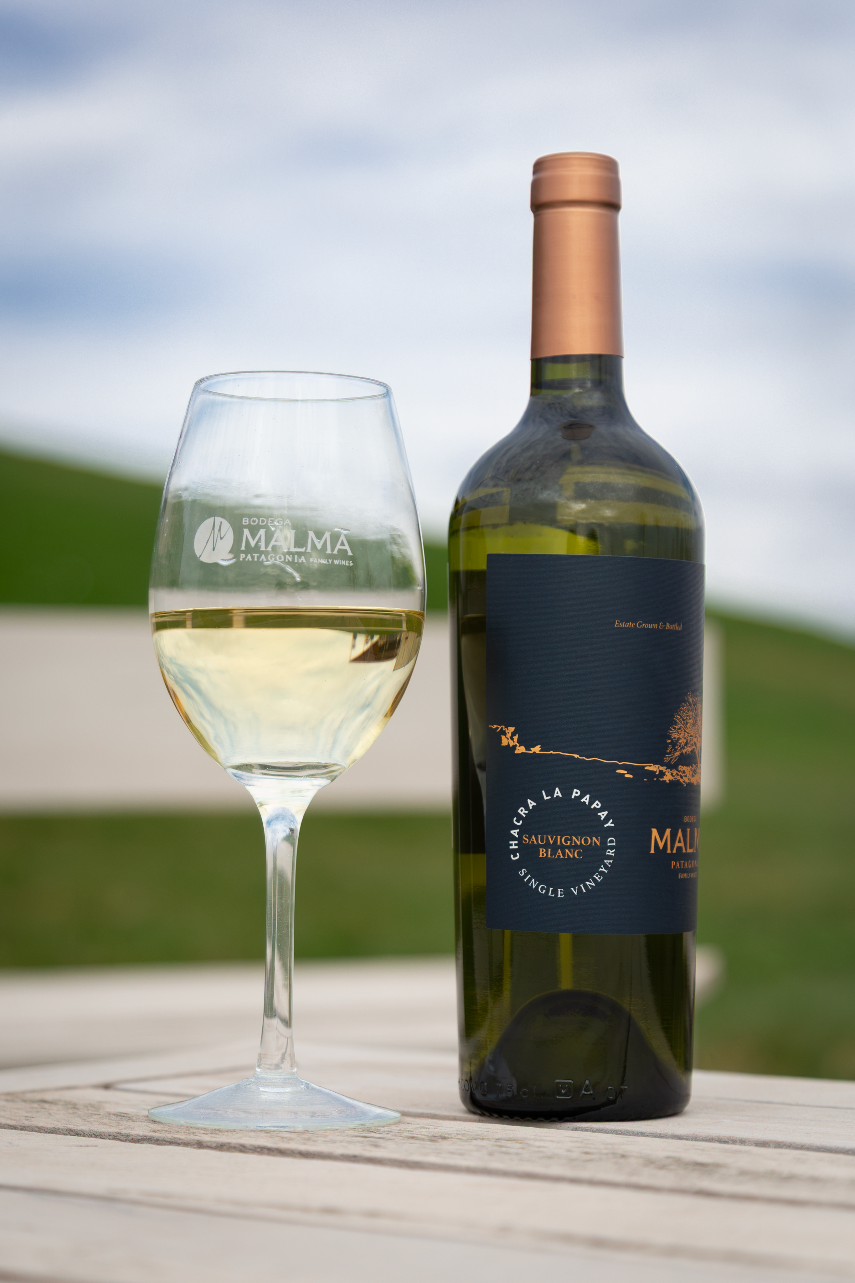 Chacra La Papay Single Vineyard Sauvignon Blanc - Blancos 750 ml x6