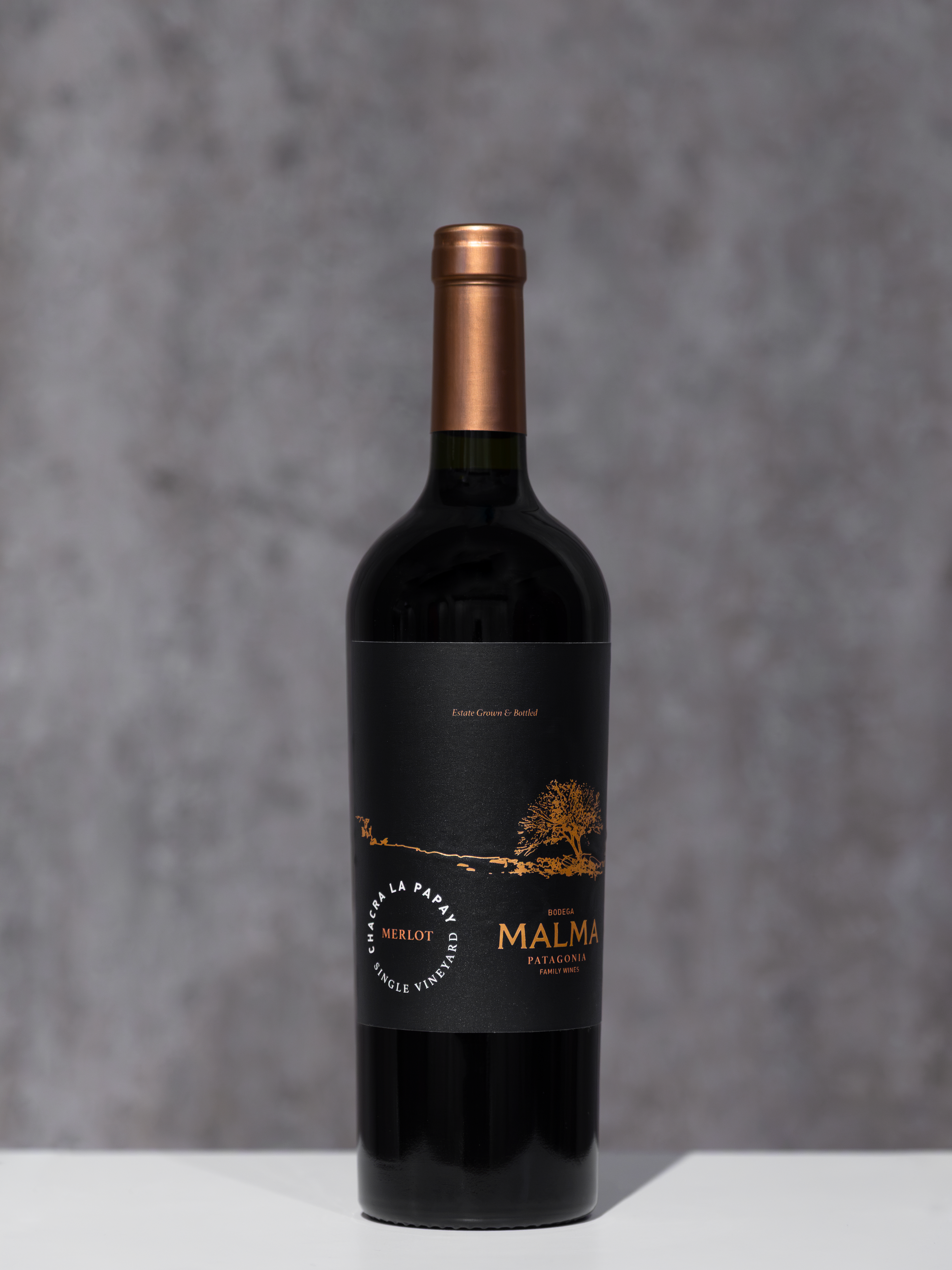 Chacra La Papay Single Vineyard Merlot - Tintos 750 ml x6