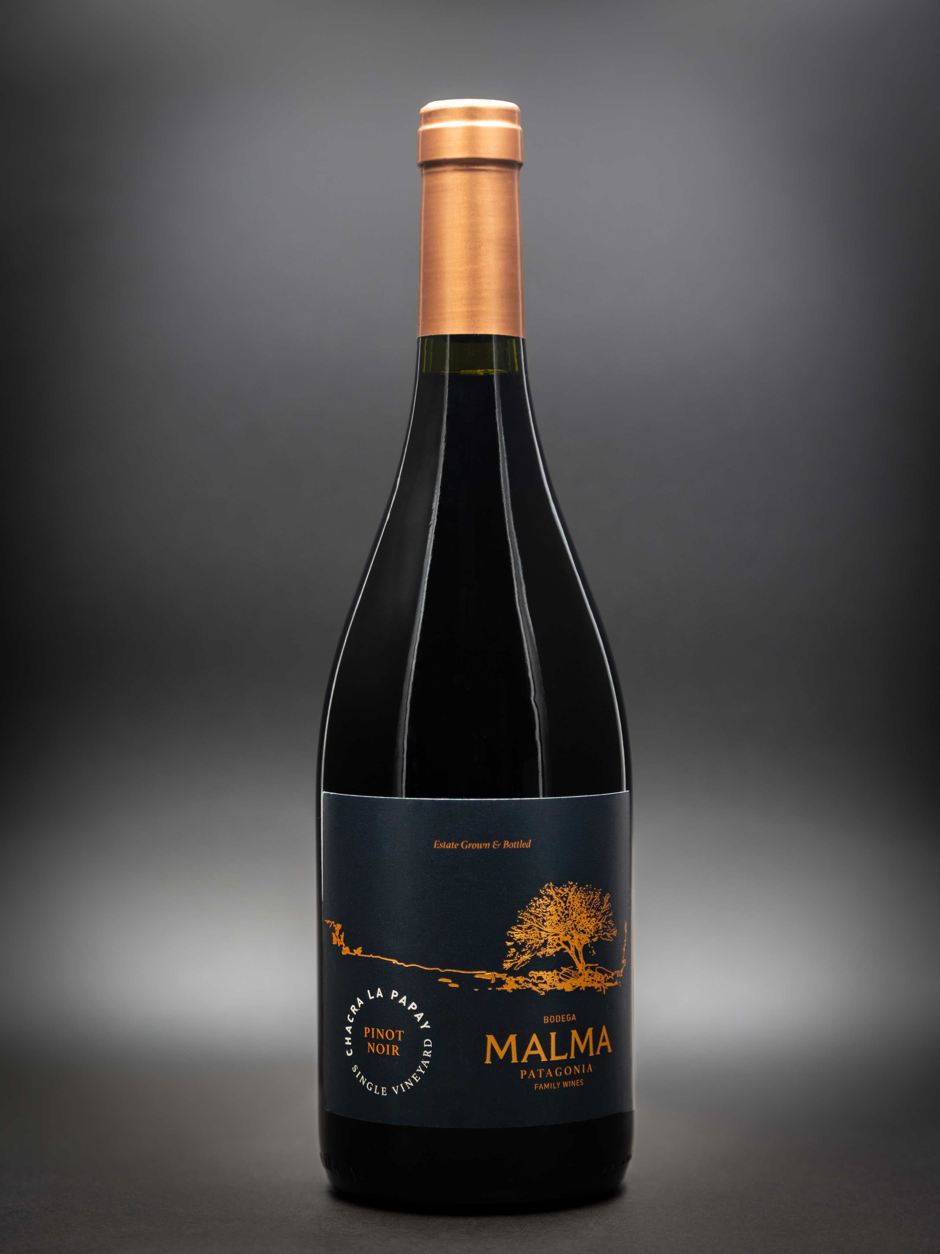 Chacra La Papay Single Vineyard Pinot Noir - Tintos 750 ml x6