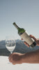 Cargar imagen en el visor de la galería, Reserva de Familia Merlot - Tintos 750 ml
