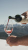 Cargar imagen en el visor de la galería, Reserva de Familia Merlot - Tintos 750 ml
