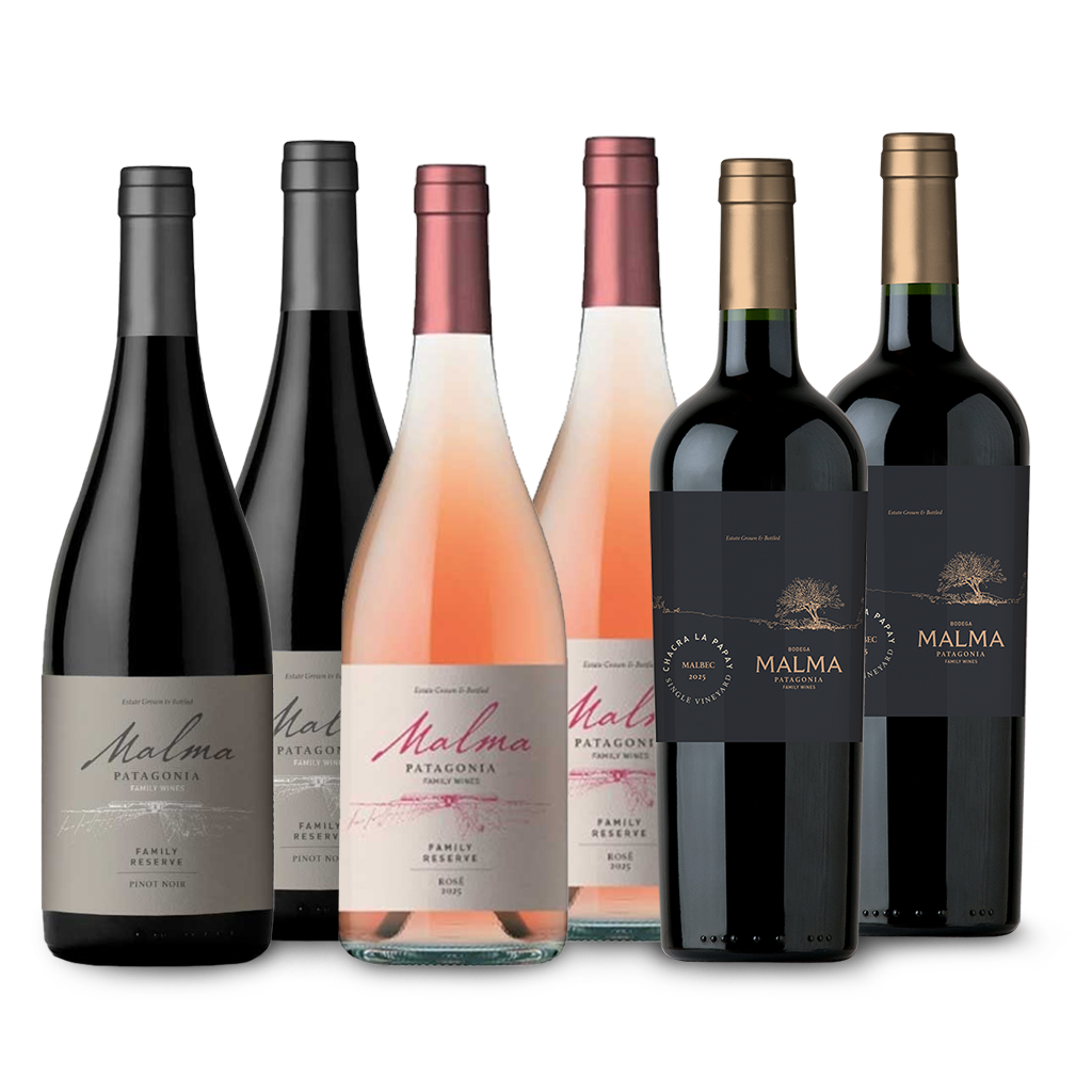 ☀️ Mix Viento Sur - Reserva y Chacra Tintos, Rosados y Blancos - 750 ml x6