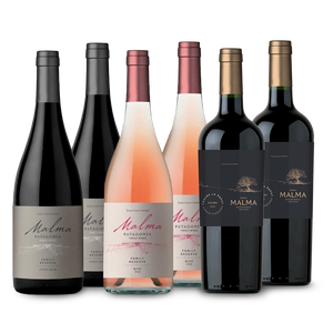 ☀️ Mix Viento Sur - Reserva y Chacra Tintos, Rosados y Blancos - 750 ml x6
