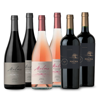 ☀️ Mix Viento Sur - Reserva y Chacra Tintos, Rosados y Blancos - 750 ml x6