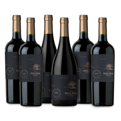 Pasaporte Patagónico - Mix Tintos 750 ml x6