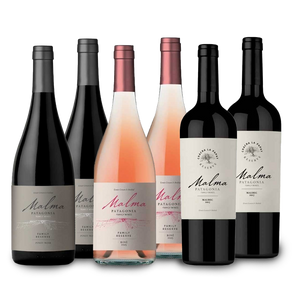 ☀️ Mix Viento Sur