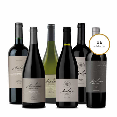 Combo Enólogo- Universo, Reserva y Chacra - Tintos y Blanco 750 ml x6